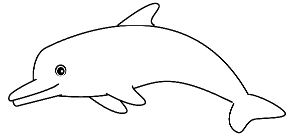 coloring dolphin