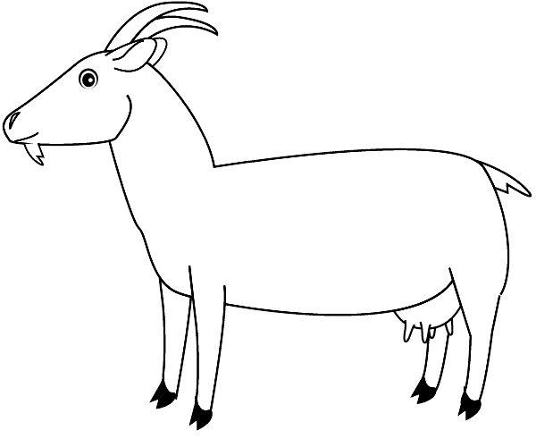 coloring goat