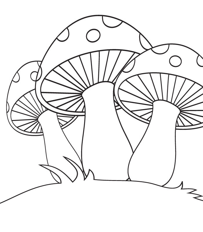 Mushroom Coloring Pages Printable Printable Word Searches