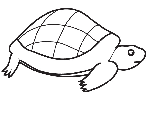 a turtle tale coloring pages - photo #49
