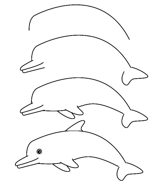 drawing dolphin
