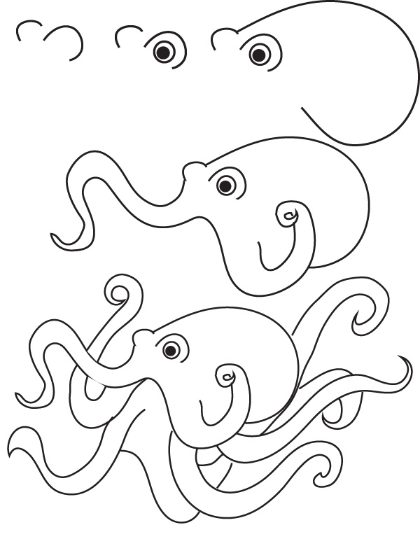Drawing Octopus