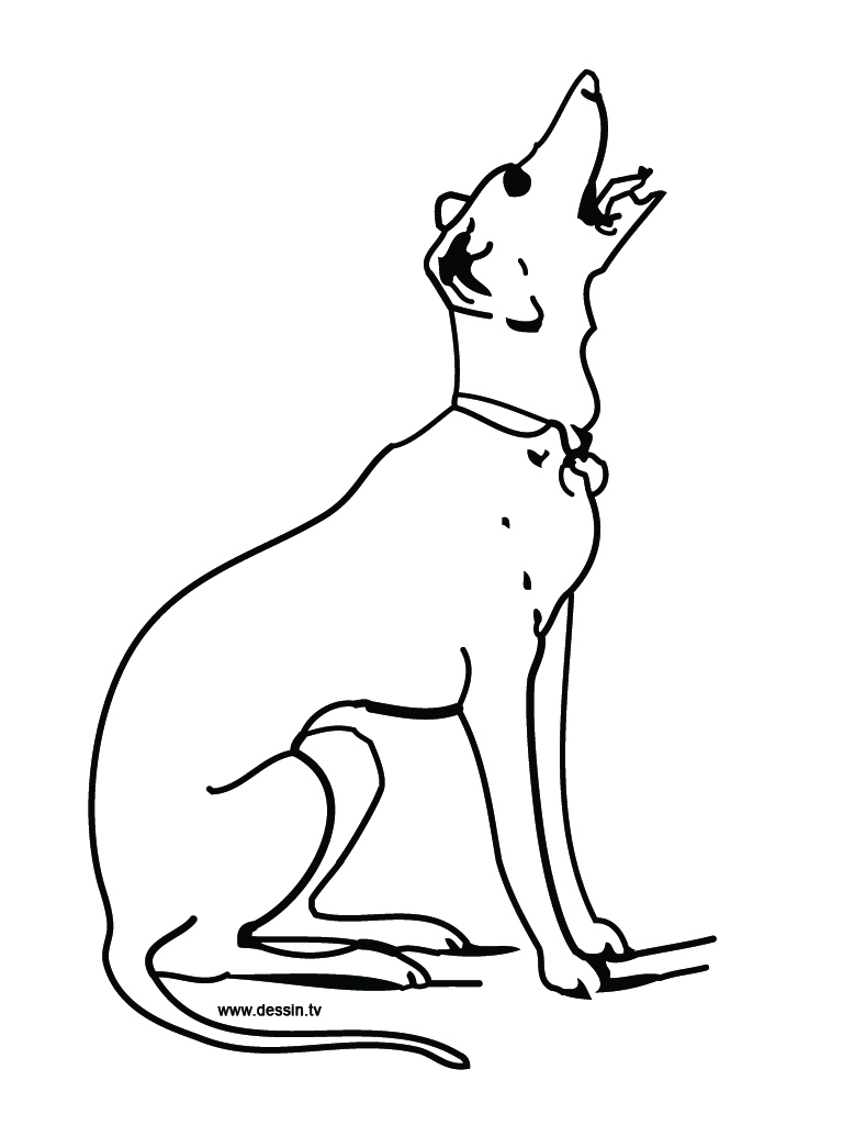 coloring barking-dog