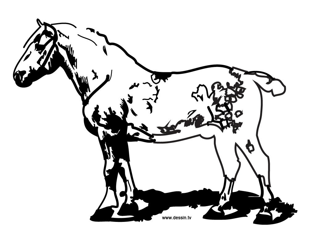 coloring farm-horse