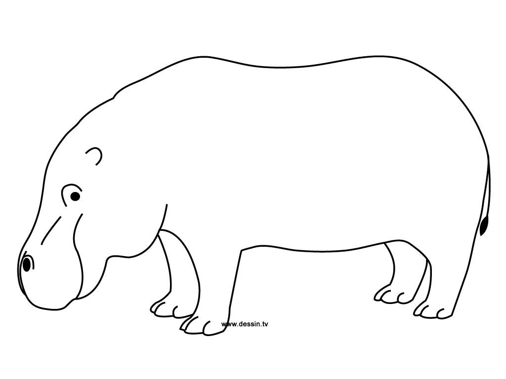 coloring hippo