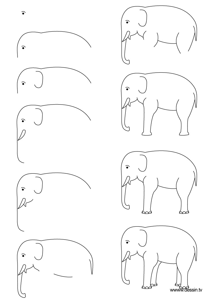 Drawing elephant