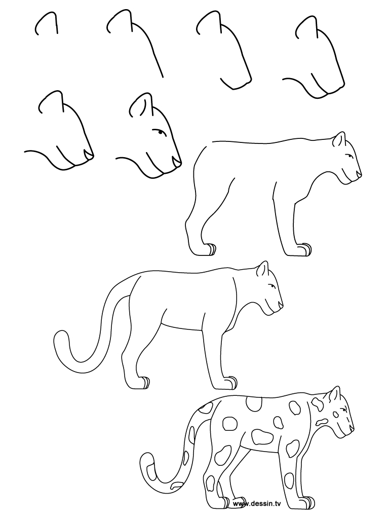 drawing jaguar