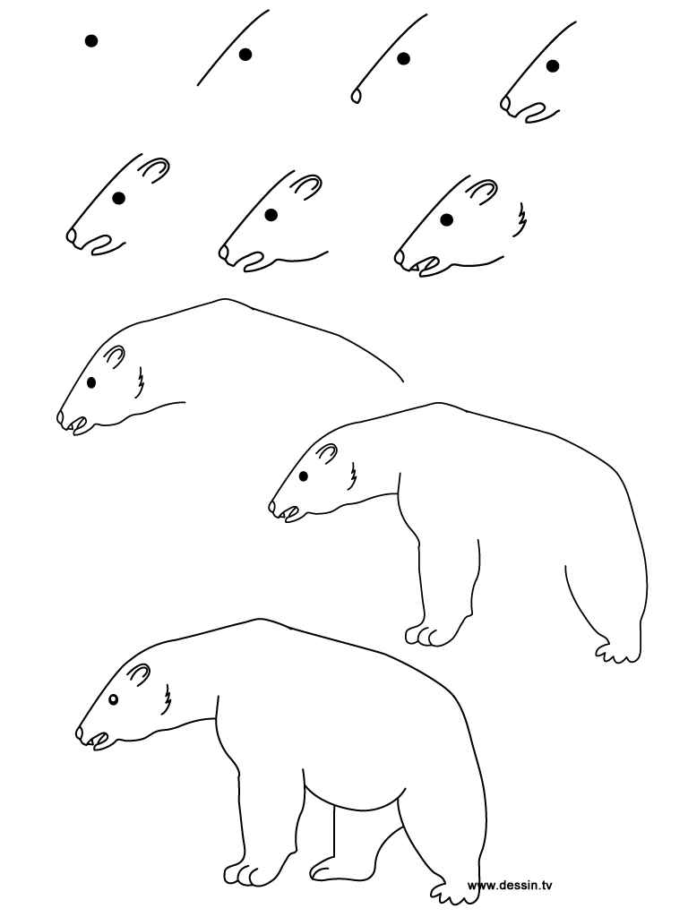 drawing polar-bear