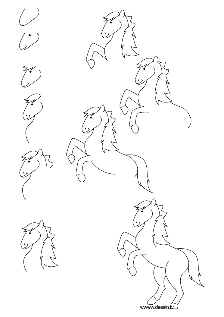 drawing pony