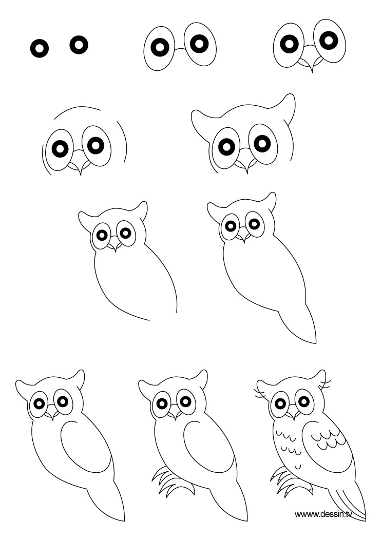 drawing true-owl