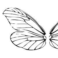 Coloring dragonfly wings