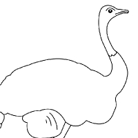 Coloring ostrich