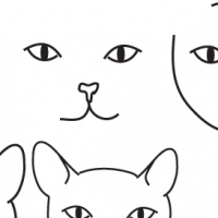 Drawing cat