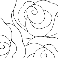 Coloring rose