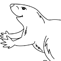 Coloring beaver