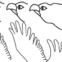 Drawing eagle