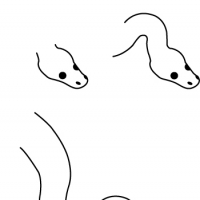 Drawing python snake