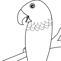 Coloring parrot
