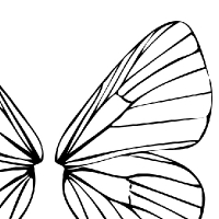 Coloring fairy wings
