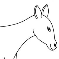 Coloring donkey