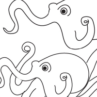 Drawing octopus